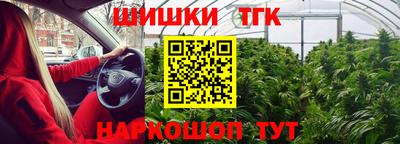 мдма Новодвинск
