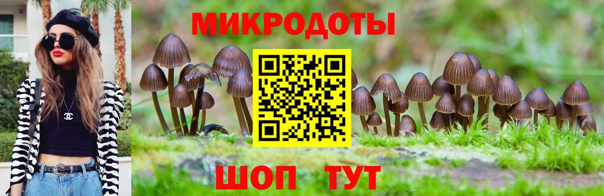 Псилоцибиновые грибы Magic Shrooms  Вход с VPN  Трёхгорный  Псилоцибиновые грибы GOLDEN TEACHER 